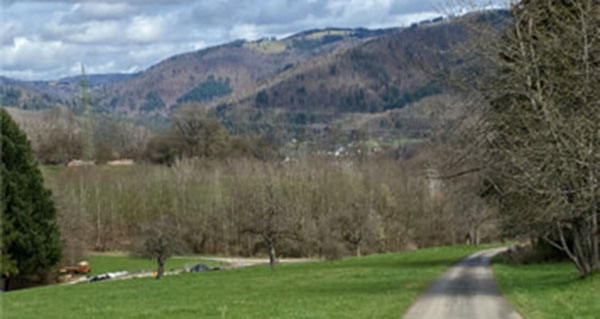 Klimaschutz beginnt vor der Haustür